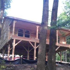 Meet your Posher, Leo